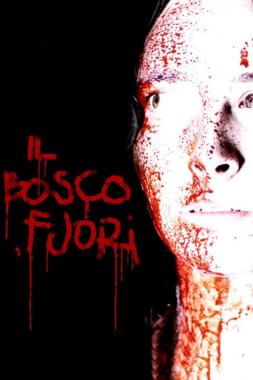 Póster de Il bosco fuori