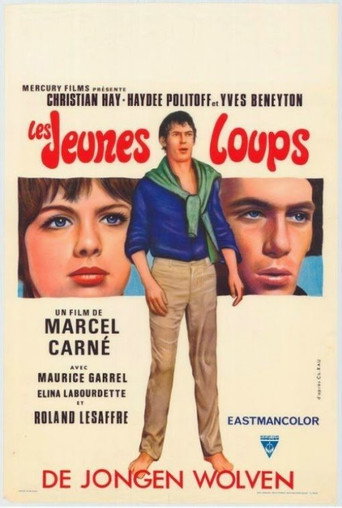 Póster de Les Jeunes Loups