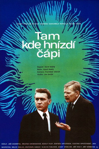 Póster de Tam kde hnízdí čápi