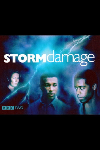 Póster de Storm Damage