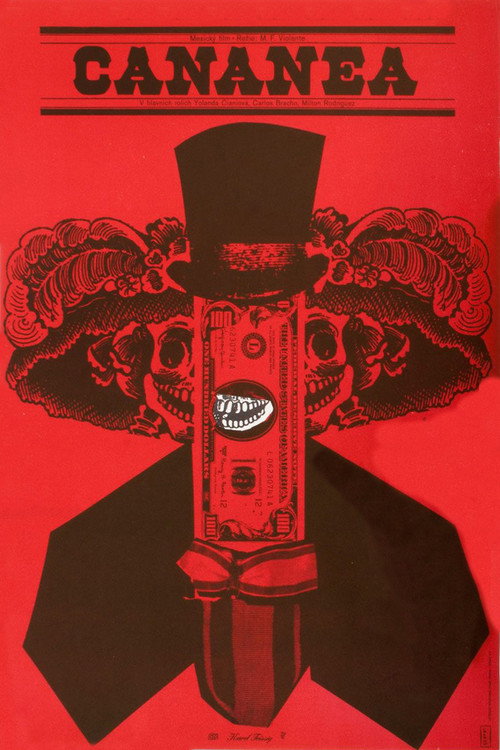 Póster de Cananea