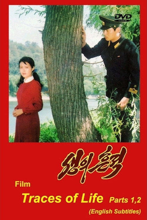 Póster de Saeng-ŭi Hŭnjŏk