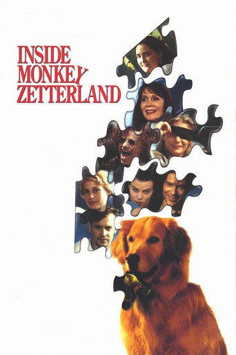 Póster de Inside Monkey Zetterland