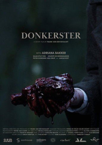 Póster de Donkerster