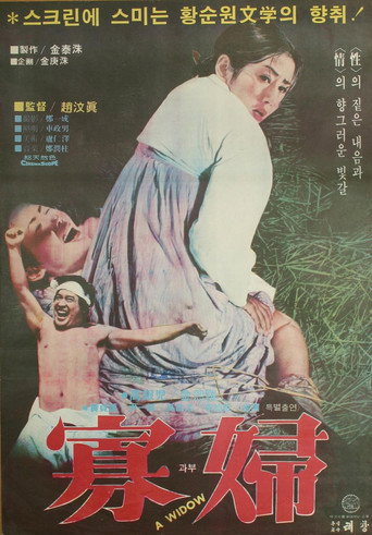 Póster de 과부