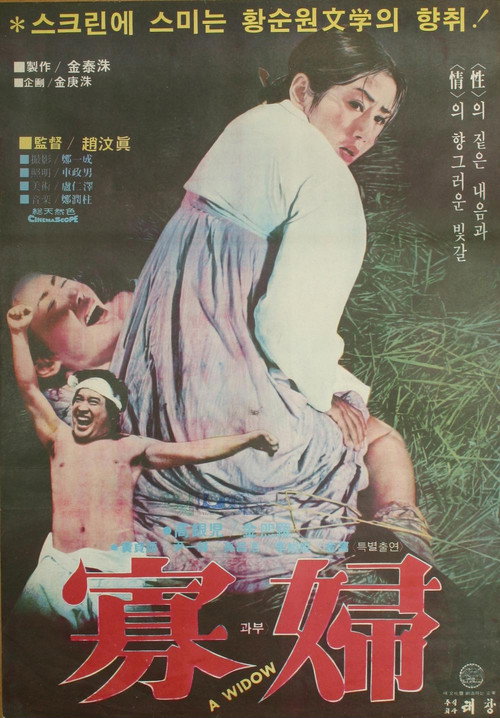 Póster de 과부