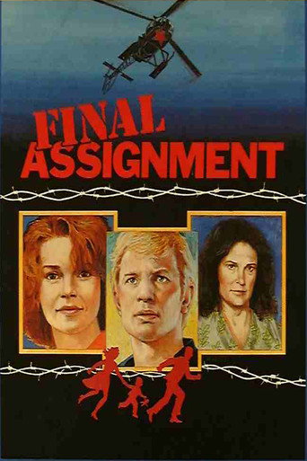 Póster de Final Assignment