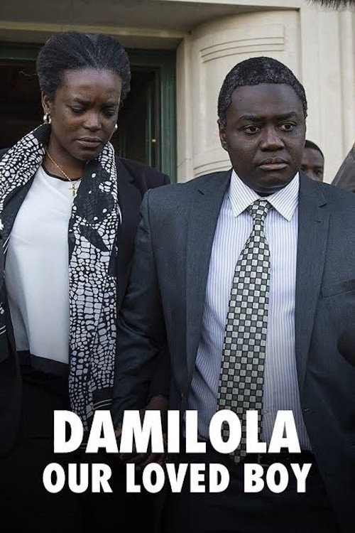 Póster de Damilola, Our Loved Boy