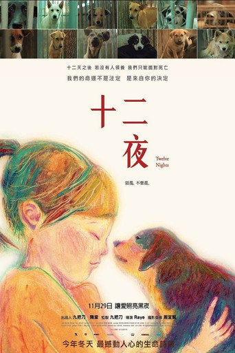 Póster de 十二夜