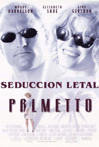 Póster de Palmetto