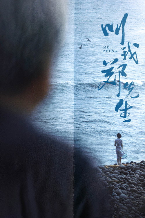 Póster de 叫我郑先生