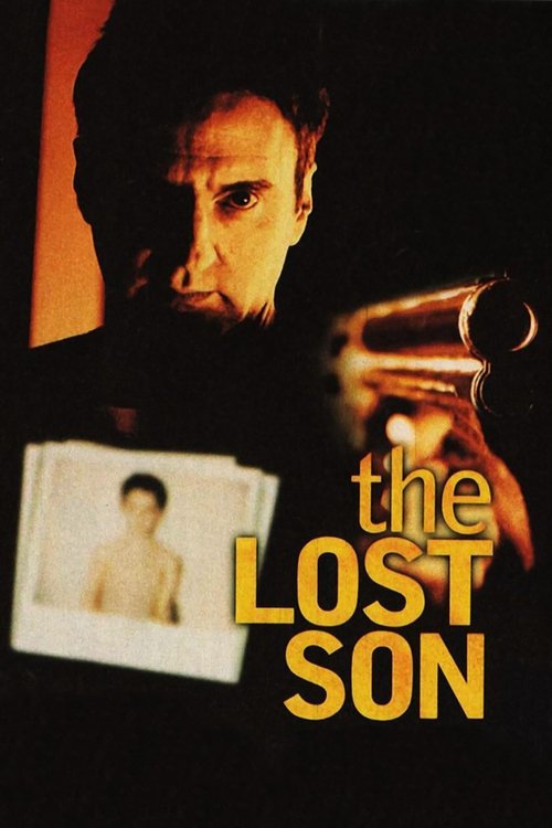Póster de The Lost Son