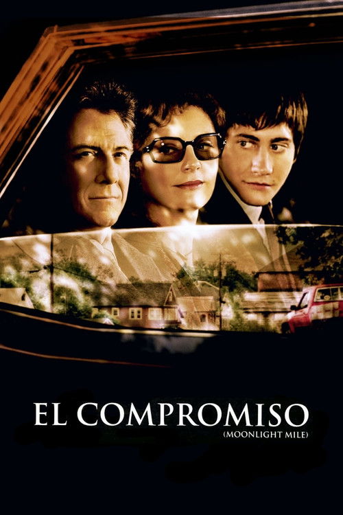 Póster de La vida continúa