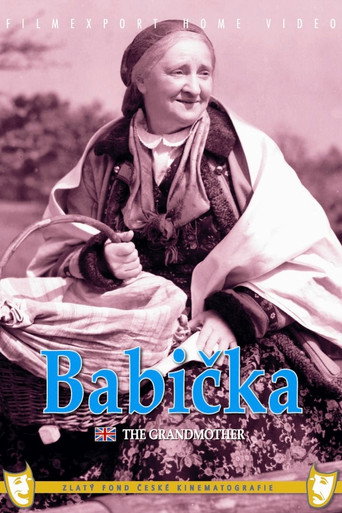 Póster de Babička