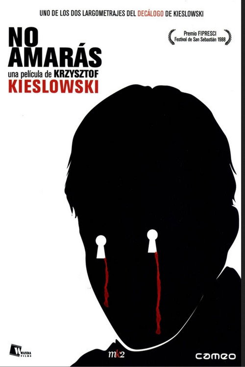 Póster de Una película de amor