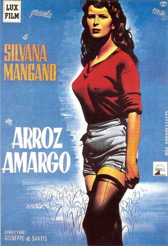 Póster de Riso amaro