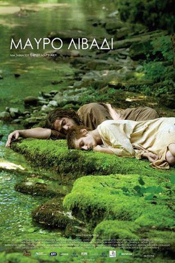 Póster de Μαύρο Λιβάδι