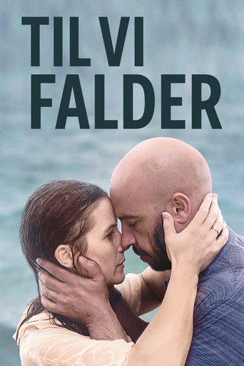 Póster de Til vi falder