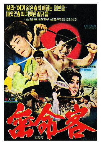 Póster de 밀명객