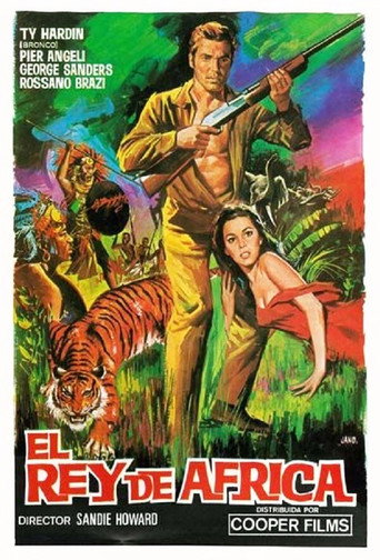 Póster de Caccia ai violenti