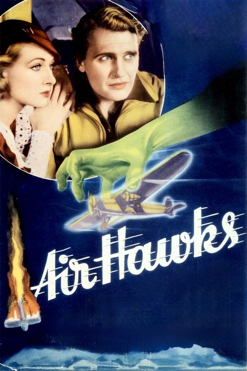 Póster de Air Hawks