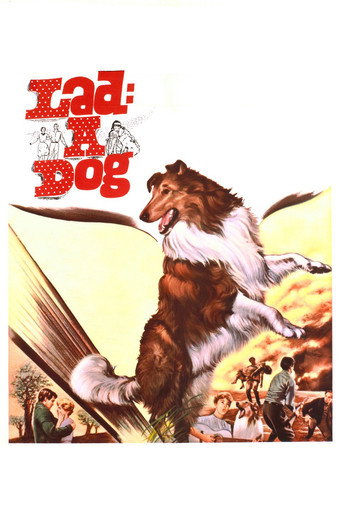 Póster de Lad: A Dog
