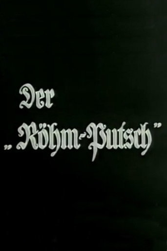 Póster de Der Röhm-Putsch