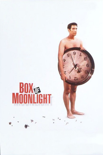 Póster de Box of Moonlight