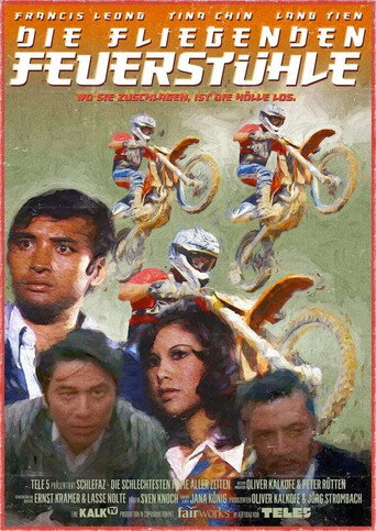 Póster de 追殺