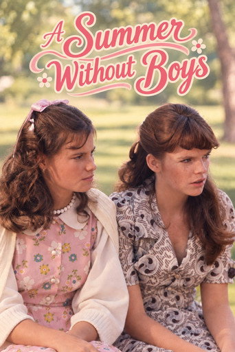 Póster de A Summer Without Boys