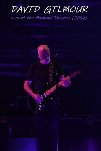 Póster de David Gilmour at London Mermaid Theatre