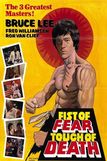 Póster de Fist of Fear, Touch of Death