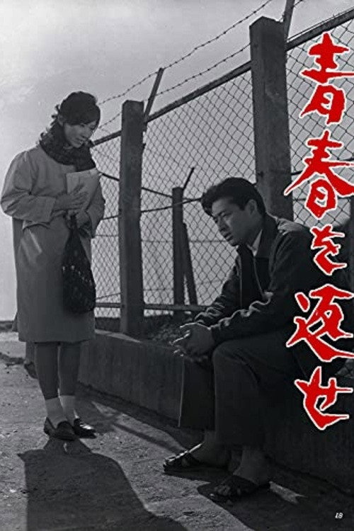 Póster de 青春を返せ