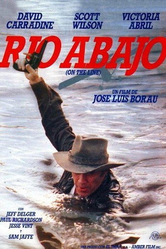 Póster de On the Line
