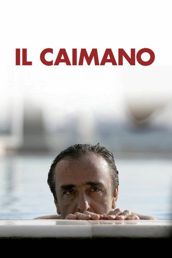 Póster de Il caimano