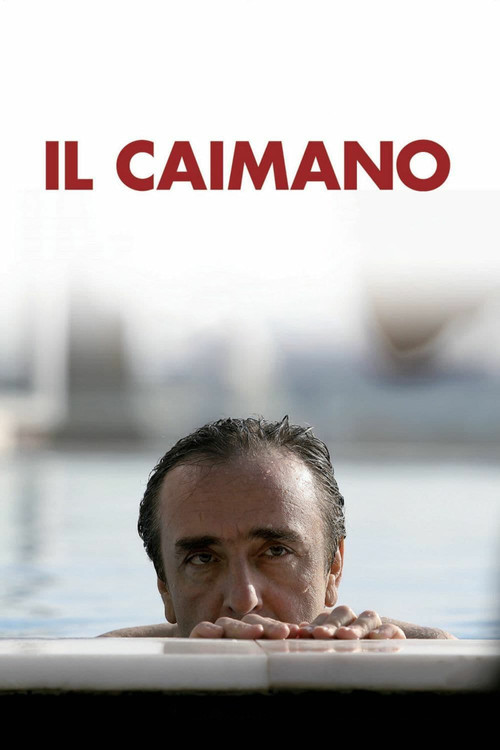 Póster de Il caimano