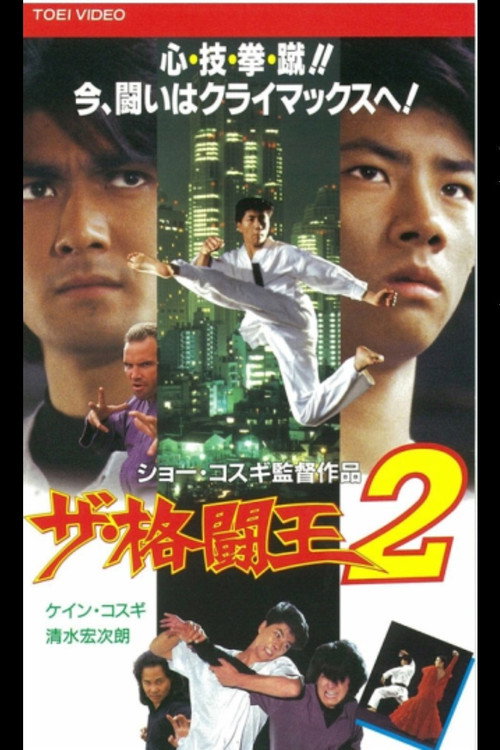 Póster de ザ・格闘王２
