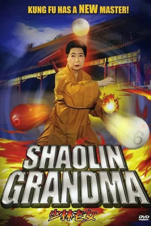 Póster de 少林老女
