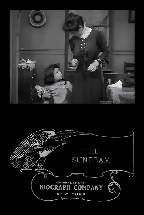 Póster de The Sunbeam