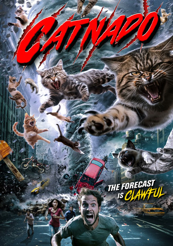 Póster de Catnado