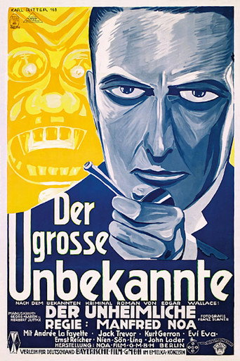 Póster de Der große Unbekannte