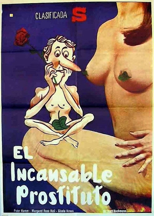 Póster de Ein echter Hausfrauenfreund