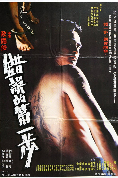Póster de 錯誤的第一步