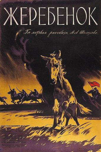 Póster de Жеребёнок
