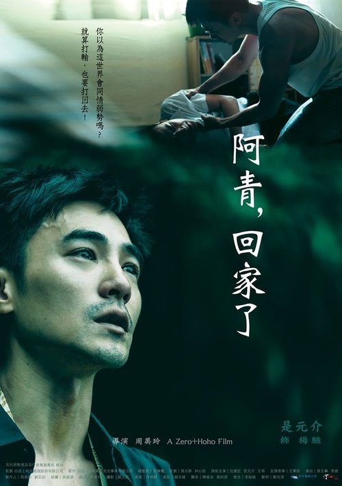 Póster de 阿青，回家了