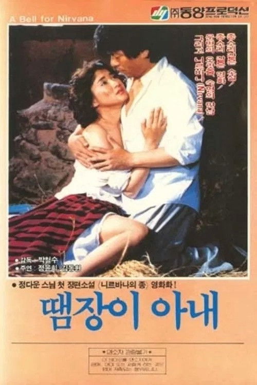 Póster de 땜장이 아내
