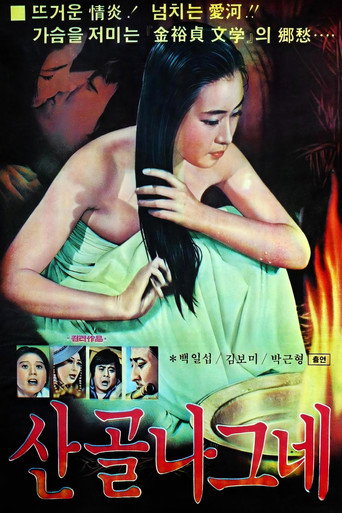 Póster de 산골 나그네
