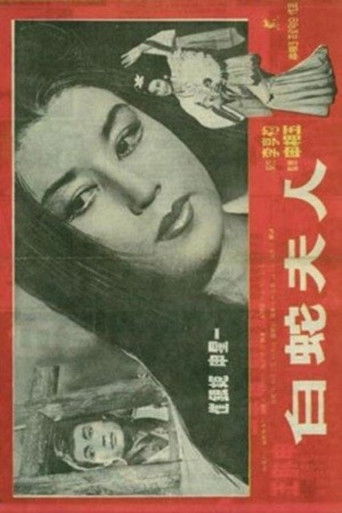 Póster de 백사부인