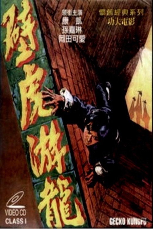 Póster de 壁虎遊龍