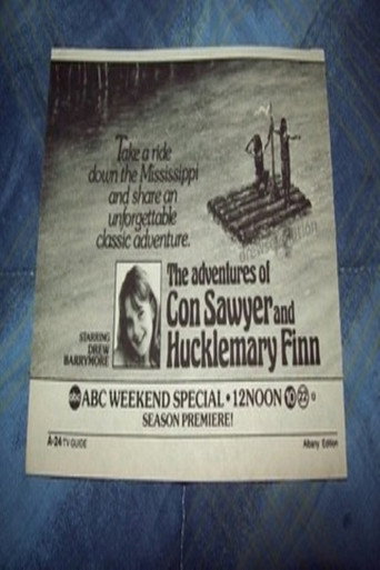 Póster de The Adventures of Con Sawyer and Hucklemary Finn